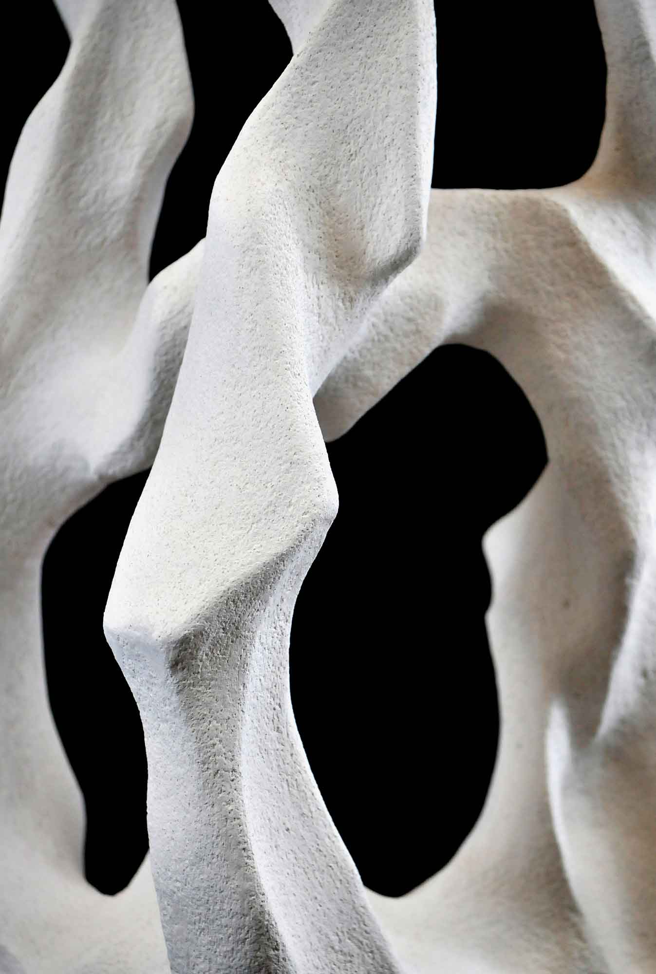 Sculpture of organic forms