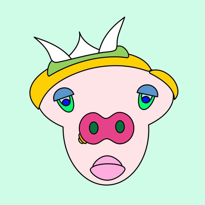 Imatge de la cara de Porc